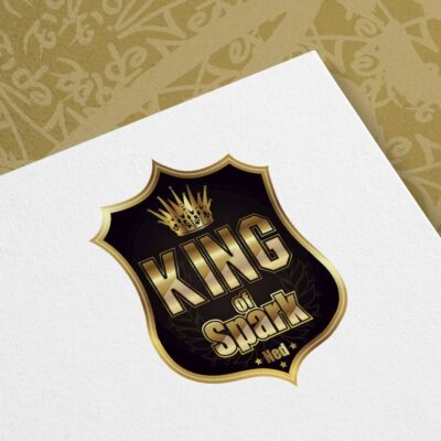 logo pour King Of Spark